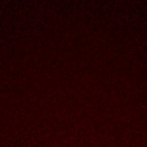 Meet your Posher, Arely